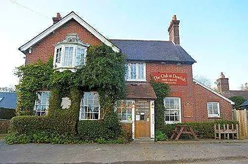 The Oak At Dewlish Bed & Breakfast