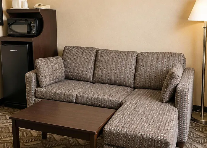 Comfort Inn & Suites Ambassador Bridge Windsor