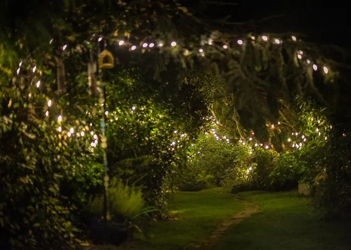 Ward Avenue B&B