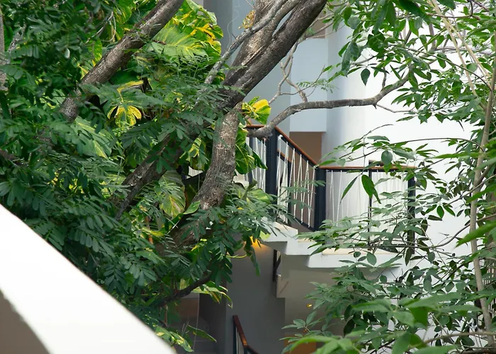 Hotel Blanco Tulum Adults Only