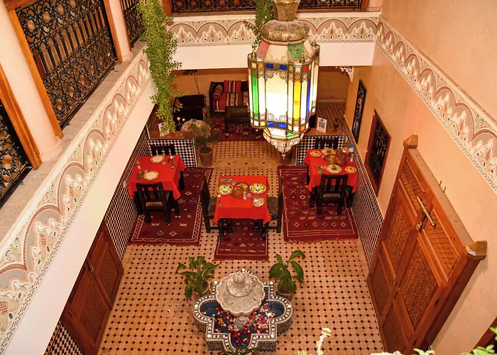 Riad ZANOUBA