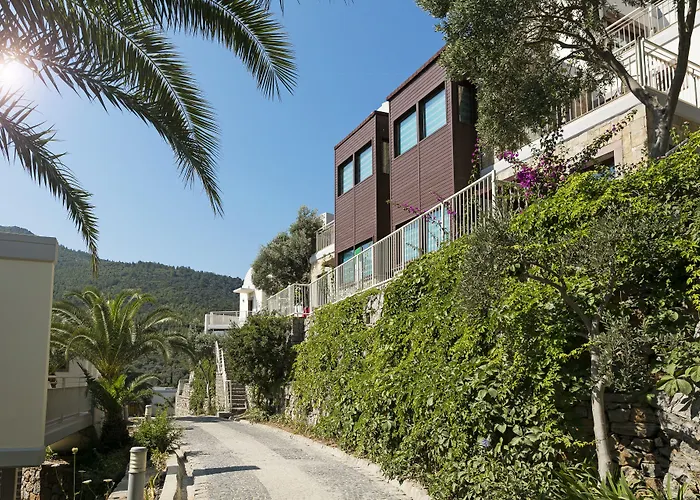 Duja Bodrum