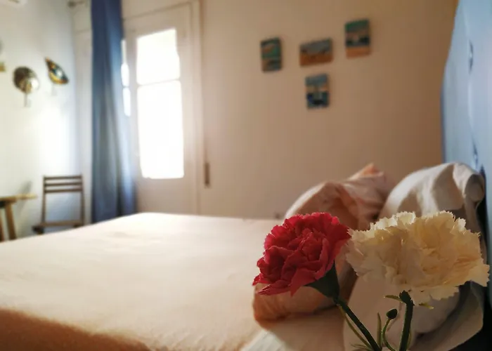 Hostal Casa Nautilus Cadiz