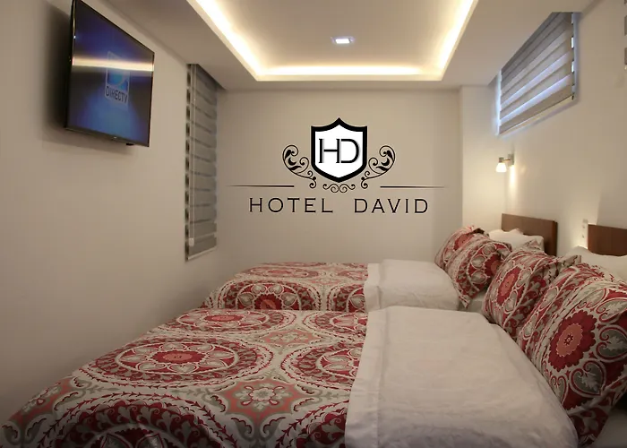 Hotel David