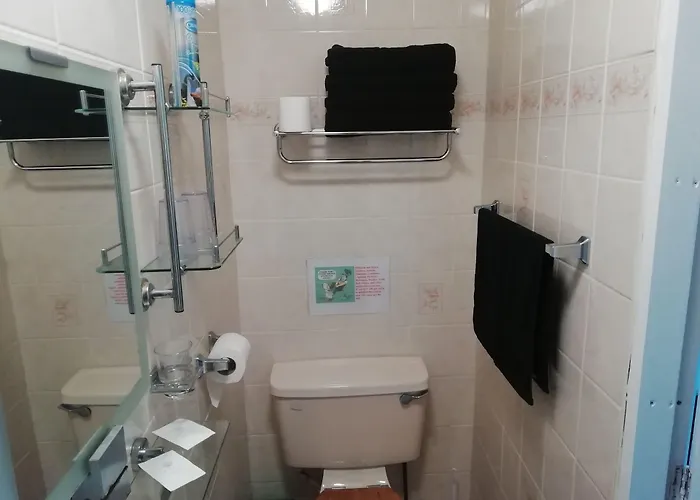 The Shining Diamond