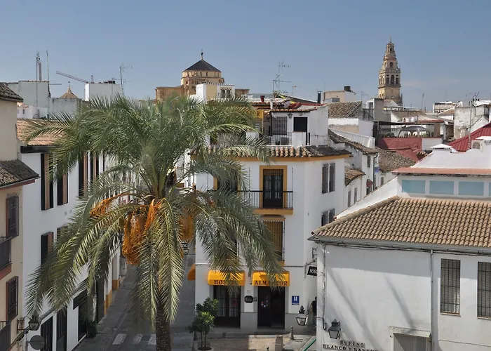 Hostal Almanzor Cordoue
