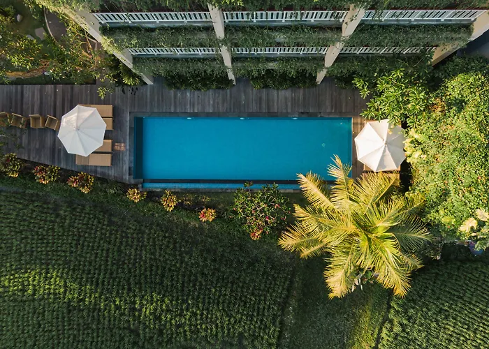 Byasa Ubud