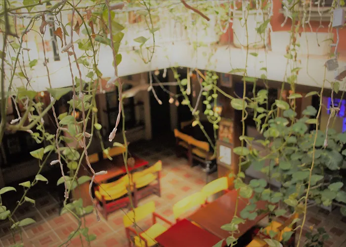 Hotel Belmar Ilha das Mulheres