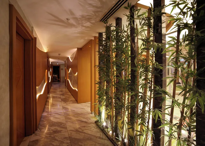 Veyron Hotels&SPA