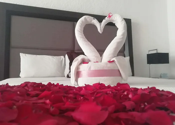 Hotel Green 16
