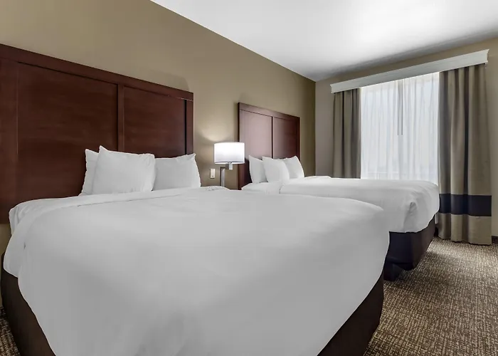 Comfort Inn & Suites Fort Worth West I-30 Nas Jrb