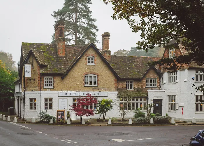 Bel And The Dragon-Churt Farnham 