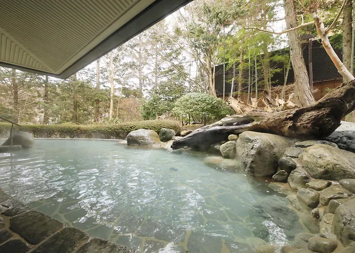 Hotel Hakone Hisui