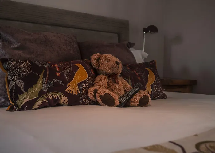 The Salty Monk Bed & Breakfast Sidmouth