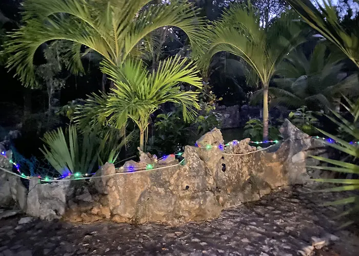 Casa De Las Tortugas I Tour Akumal