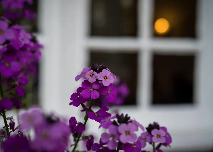 Findon Manor Hotel