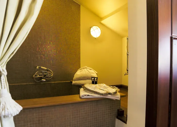 Hotel Bucintoro Venice