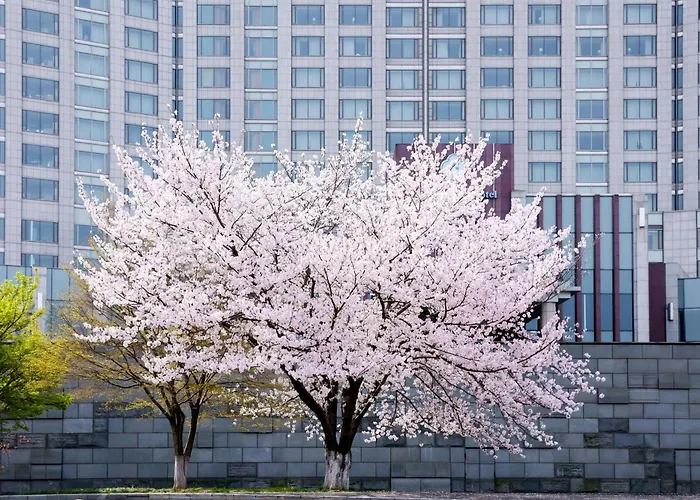 Kempinski Hotel Suzhou Suzhou 