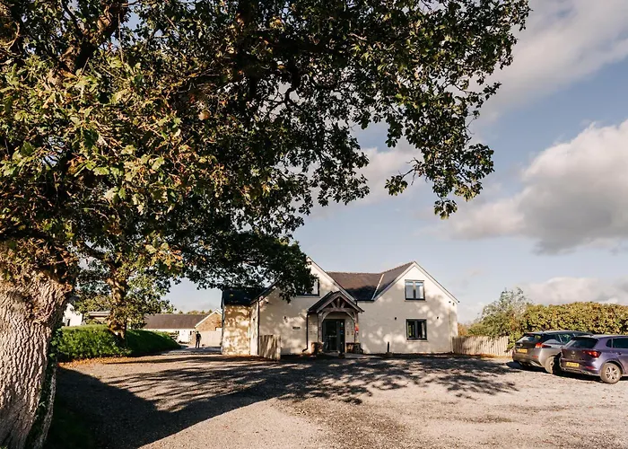 Canaston Oaks