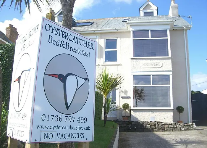 Oystercatcher St Ives 