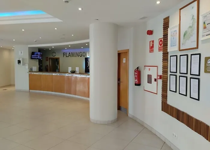 Flamingo Beach Resort