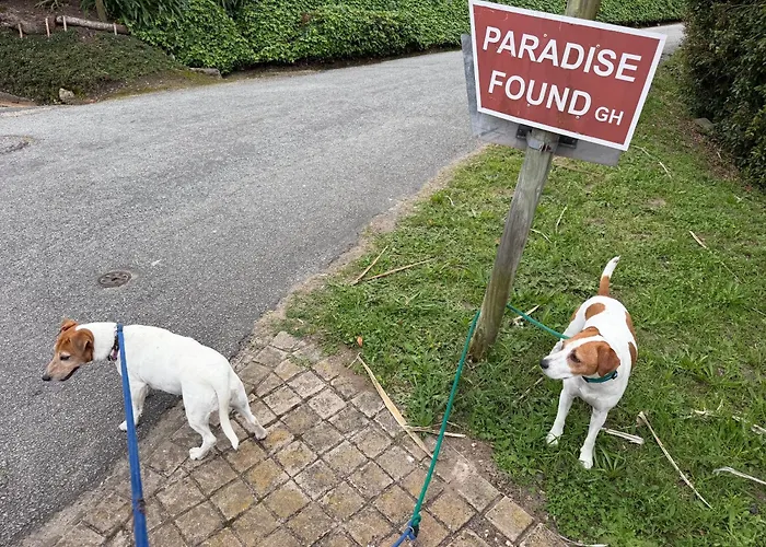 Paradise Found Knysna