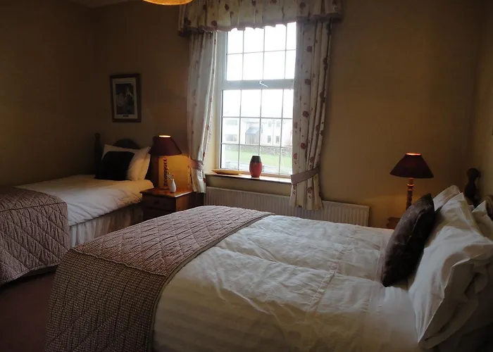 Alpine Guesthouse Dingle