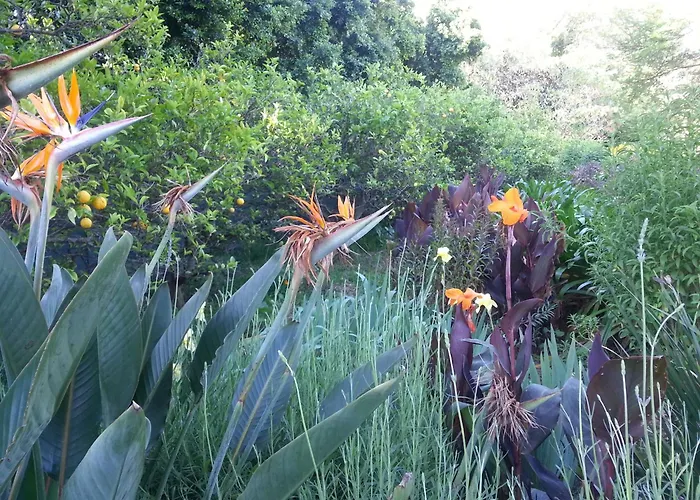 Montrose Guesthouse Somerset West