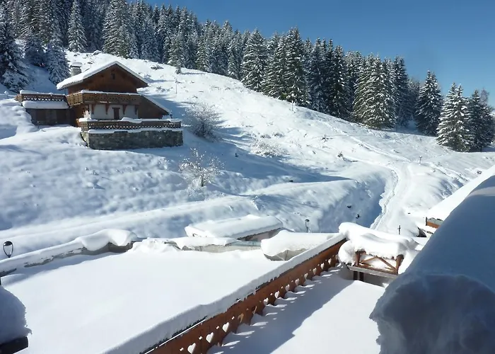 Hotel Les Ancolies Courchevel