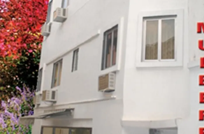 Hotel Mulberry