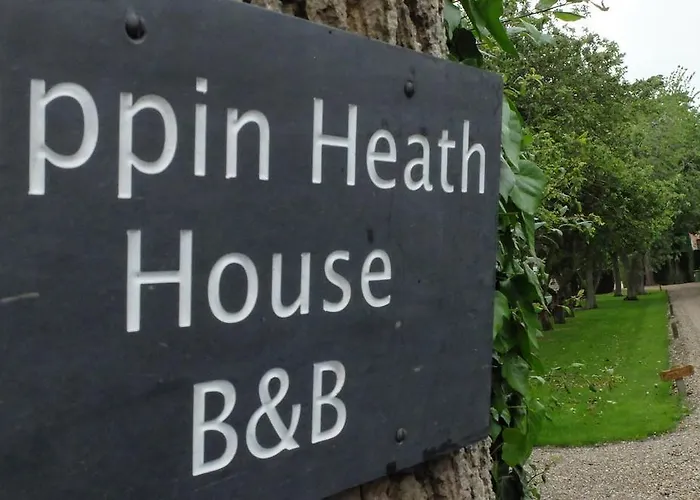 Pippin Heath House B&B Holt 