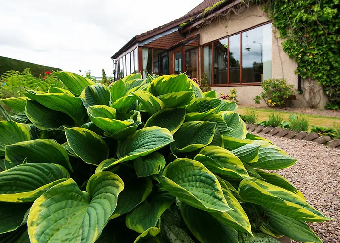 Burnbank Bed & Breakfast Kinross