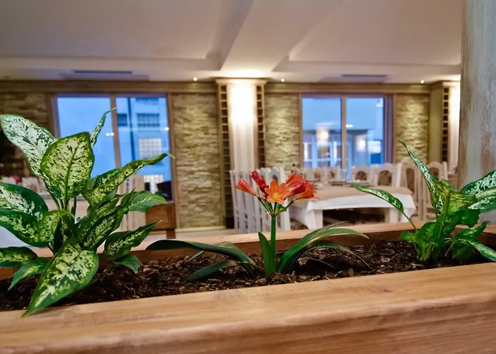 Wine Hotel Cesarica