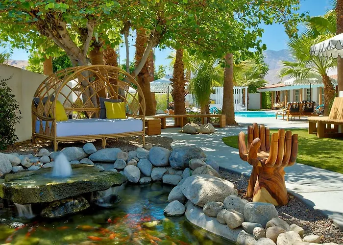 Dive Palm Springs