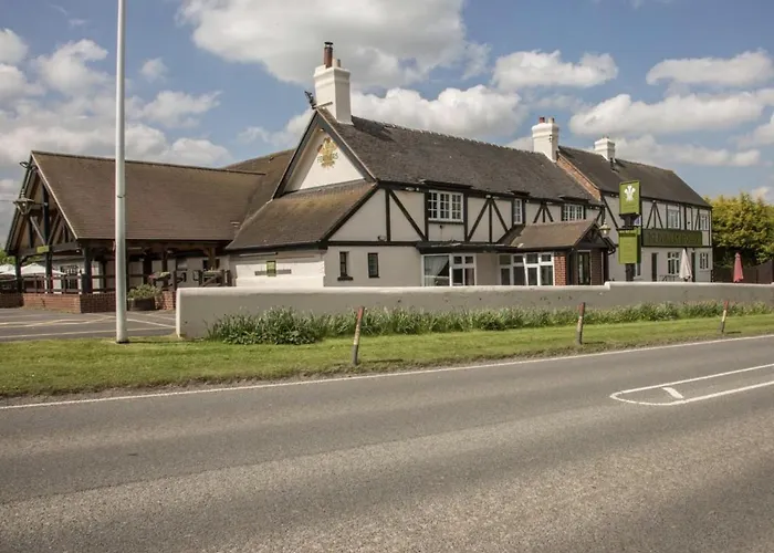 The Plume Of Feathers